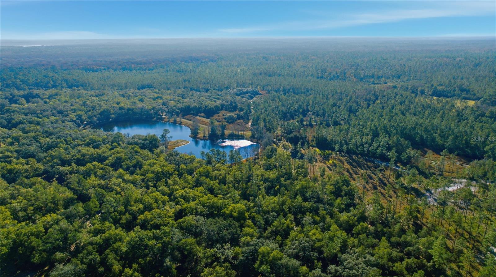 TBD (Lot 3) NE 115TH LANE RD, FORT MC COY, FL — photo 2