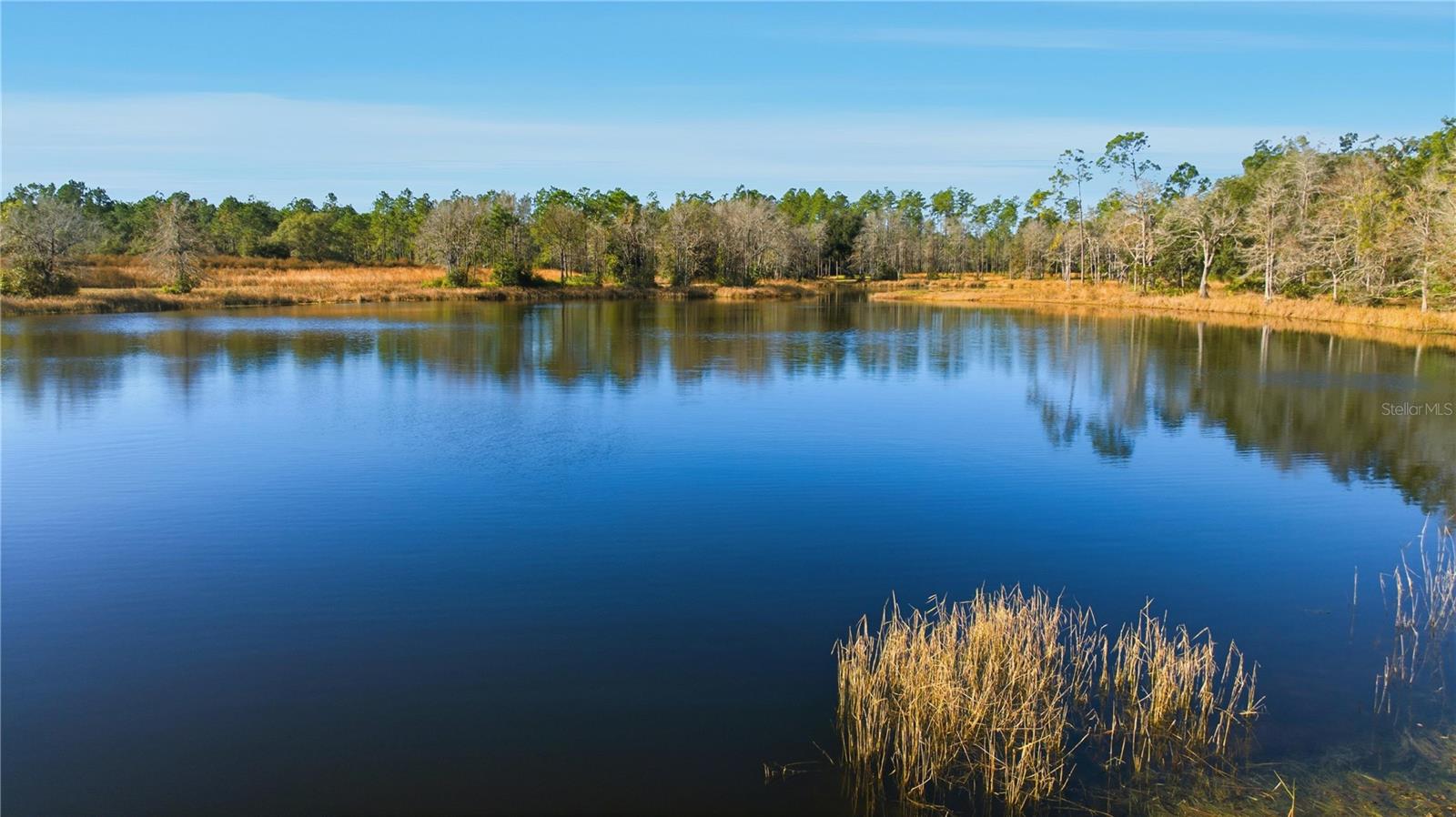 TBD (Lot 3) NE 115TH LANE RD, FORT MC COY, FL — photo 4
