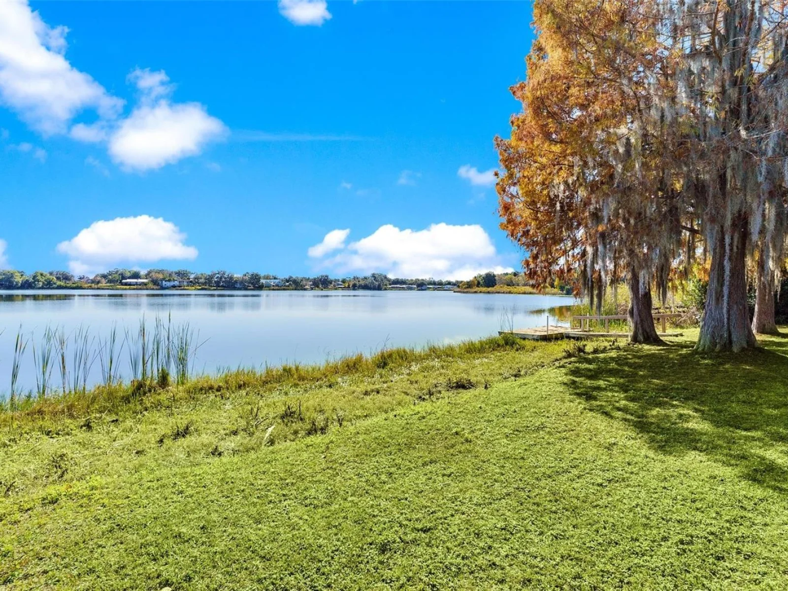 475 GUERRANT ST, UMATILLA, FL — photo 56