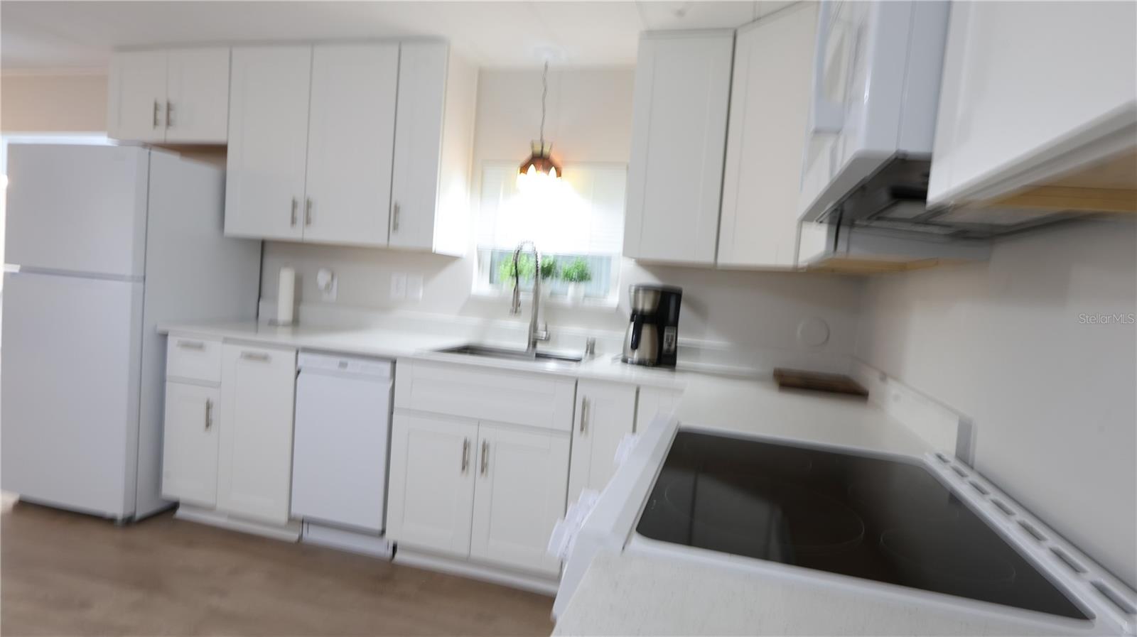 6608 ROOSEVELT DR, PORT RICHEY, FL — photo 15
