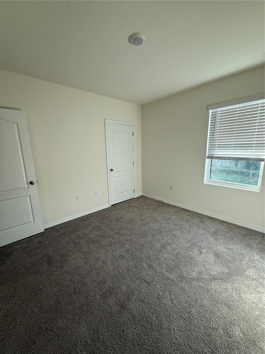 1265 ALSTONIA LN, MOUNT DORA, FL — photo 33