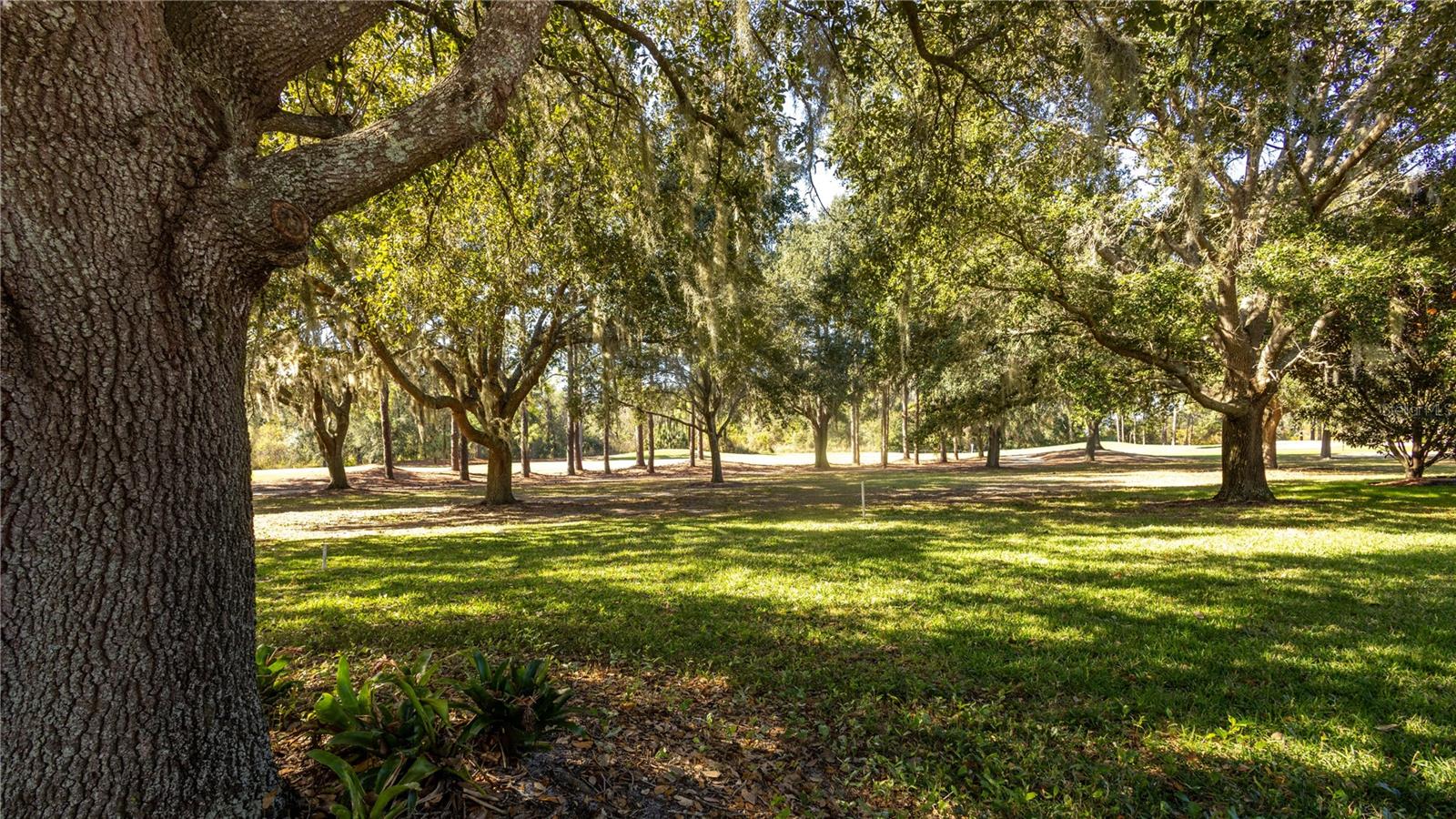 25921 SAN RAFAEL CT, HOWEY IN THE HILLS, FL — photo 58