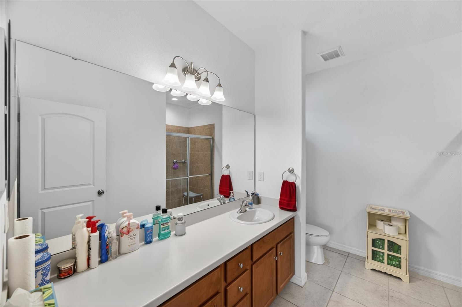 13737 GARDEN HILLS DR, SPRING HILL, FL — photo 33