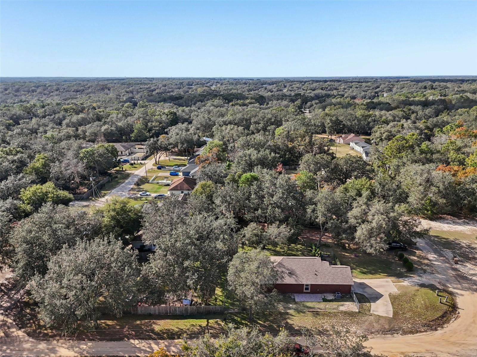 4542 LEMON ST, LADY LAKE, FL — photo 99