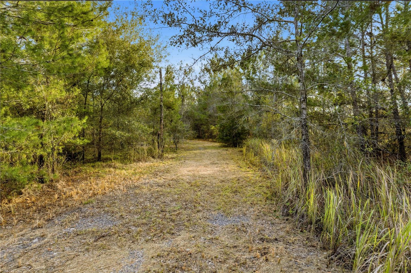 0 BACKWOODS WAY, BROOKSVILLE, FL