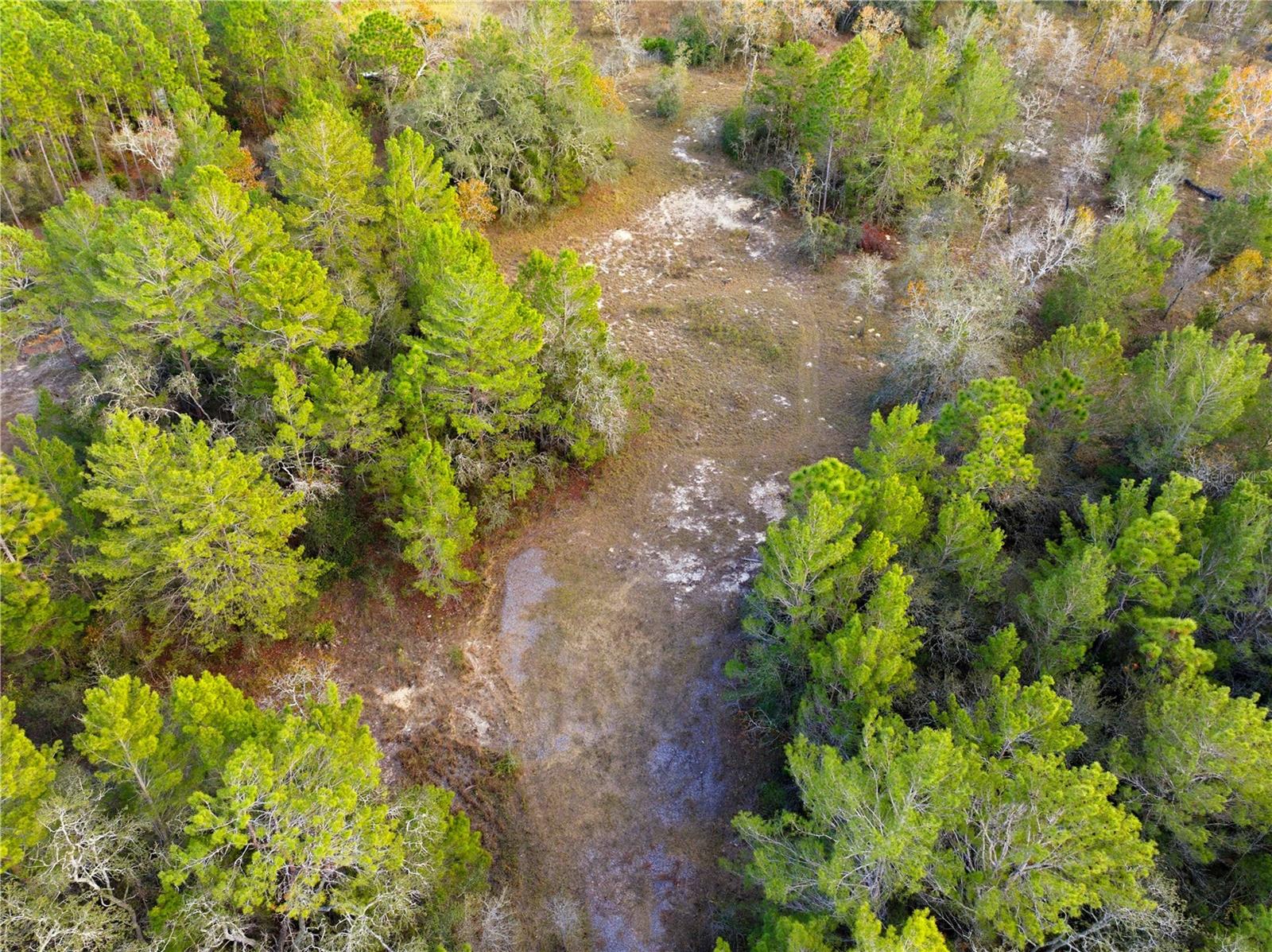 0 BACKWOODS WAY, BROOKSVILLE, FL — photo 6