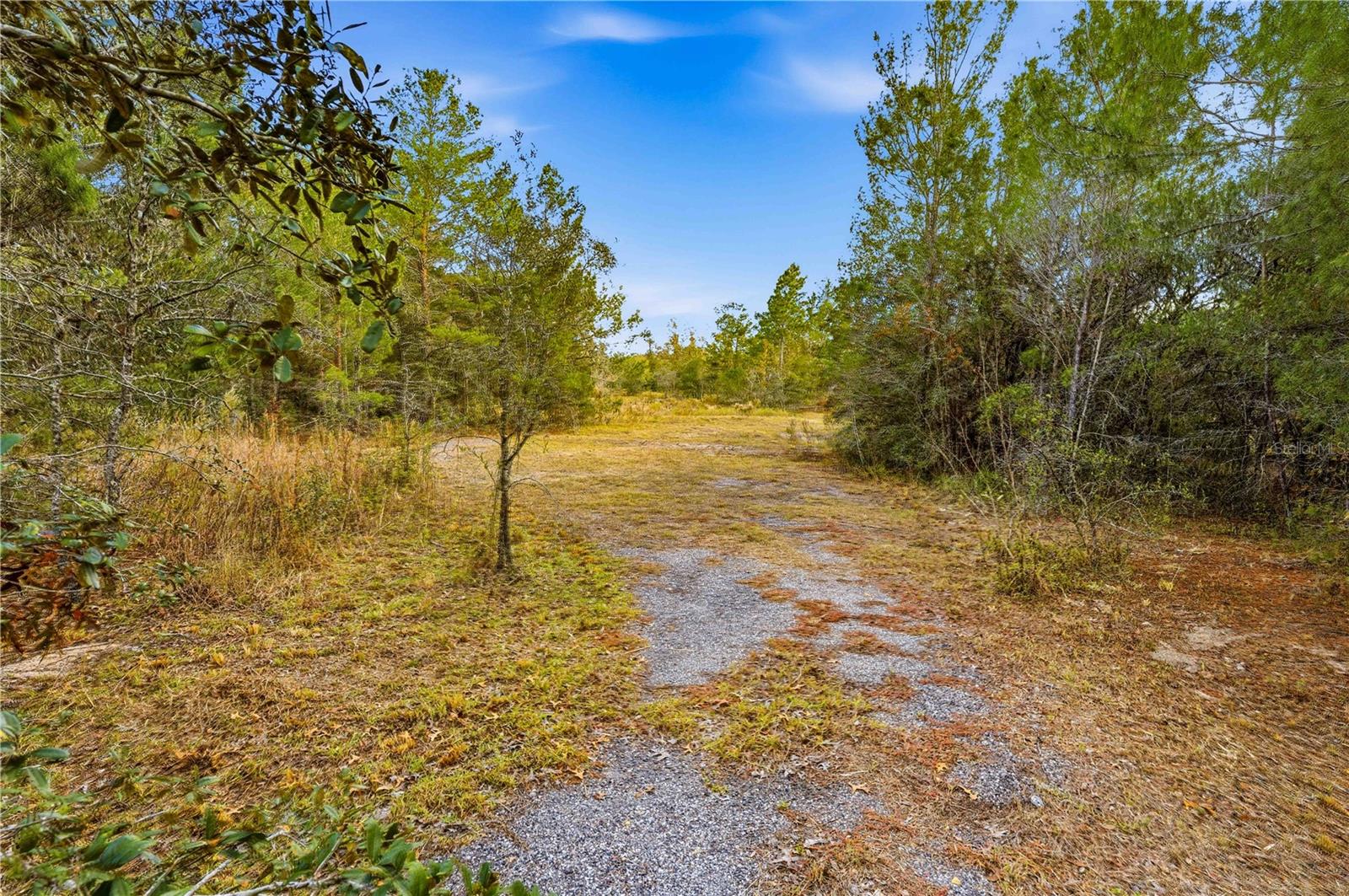 0 BACKWOODS WAY, BROOKSVILLE, FL — photo 7