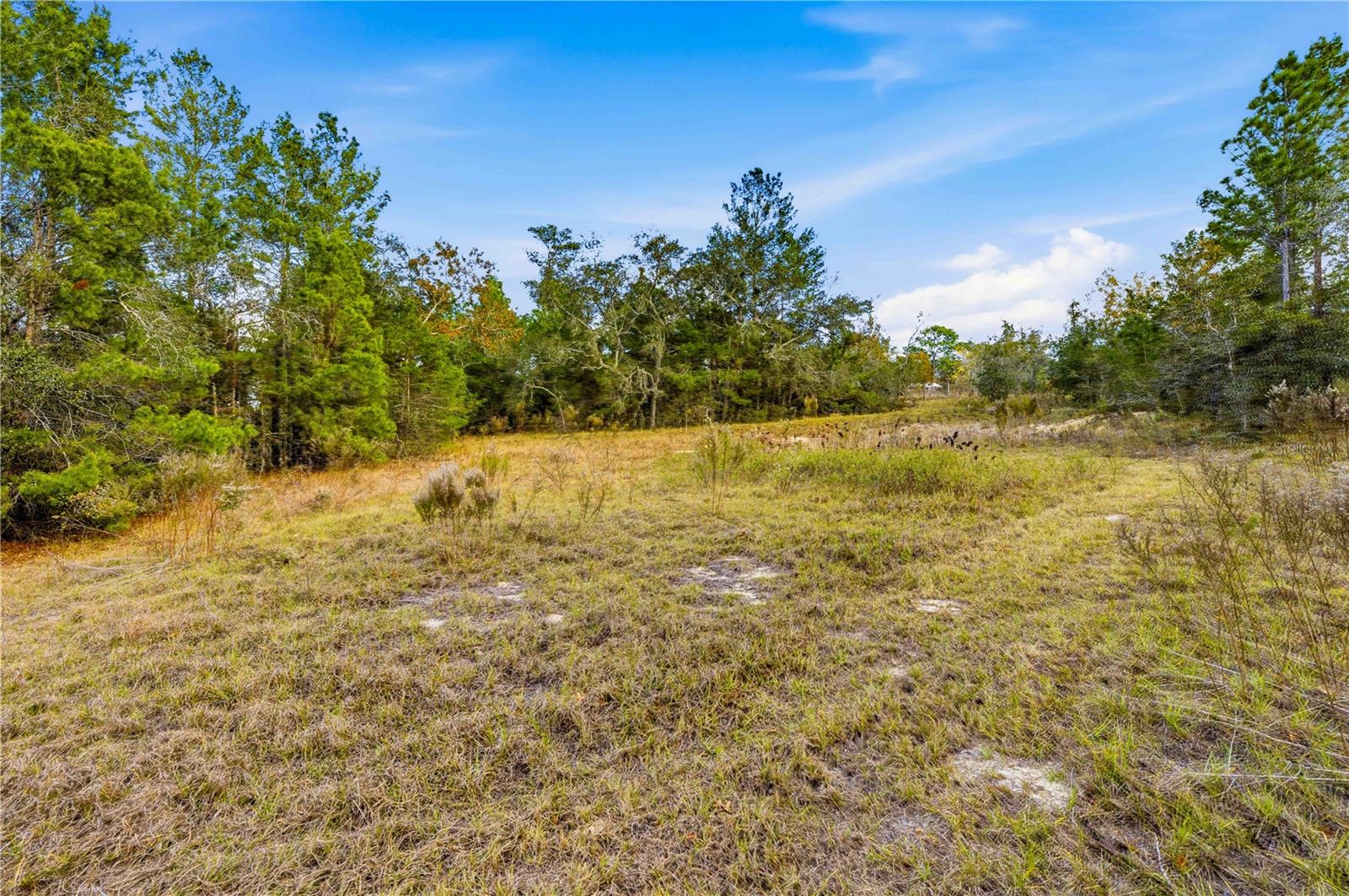 0 BACKWOODS WAY, BROOKSVILLE, FL — photo 8