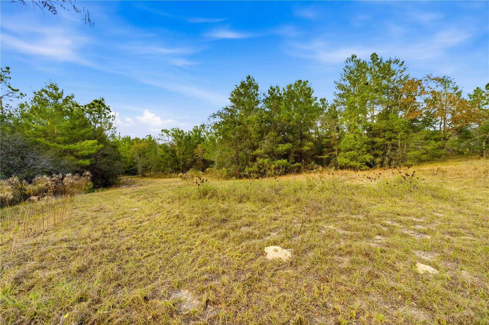 0 BACKWOODS WAY, BROOKSVILLE, FL — photo 9