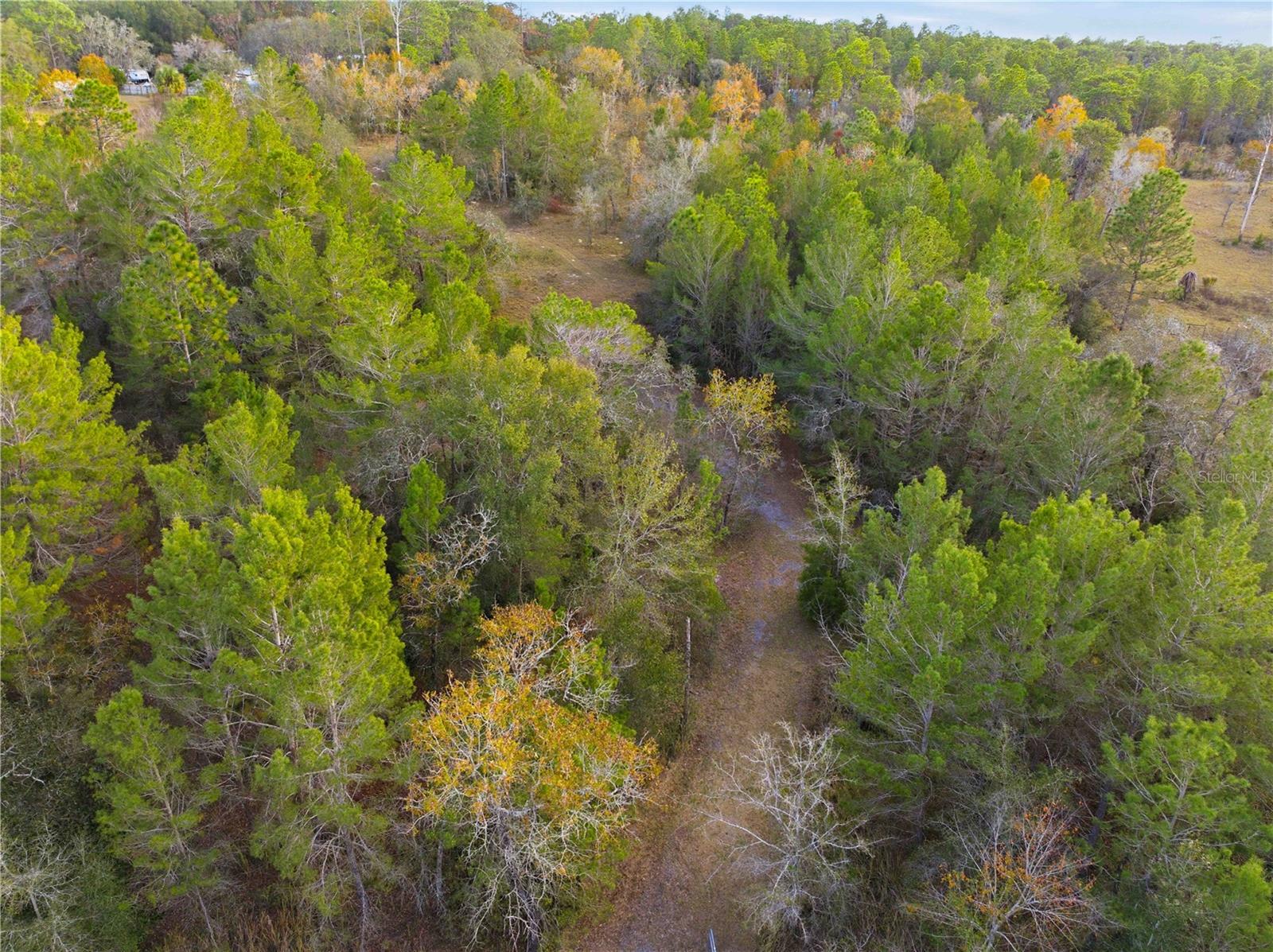 0 BACKWOODS WAY, BROOKSVILLE, FL — photo 13