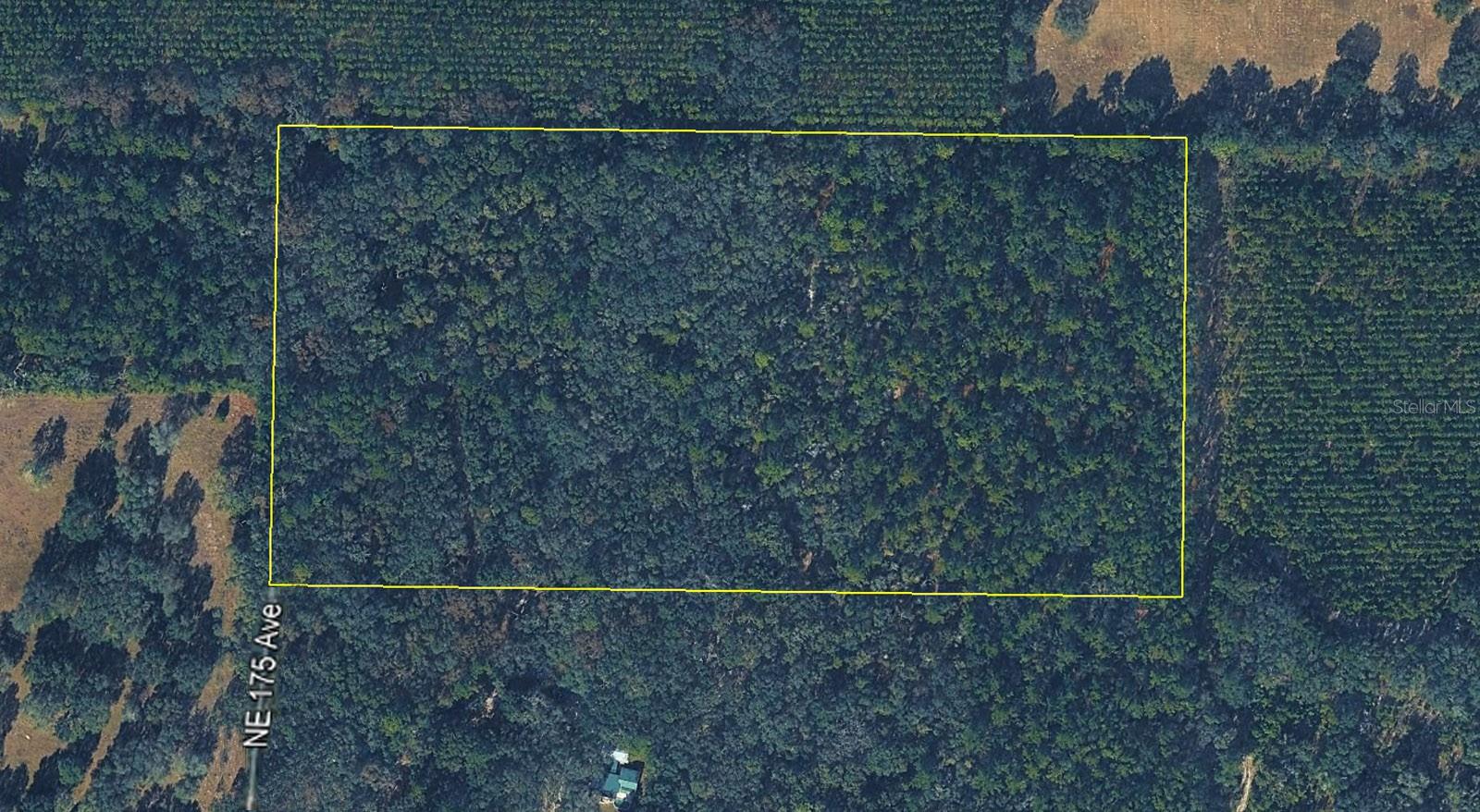 tbd NE 175TH AVE, WILLISTON, FL — photo 3
