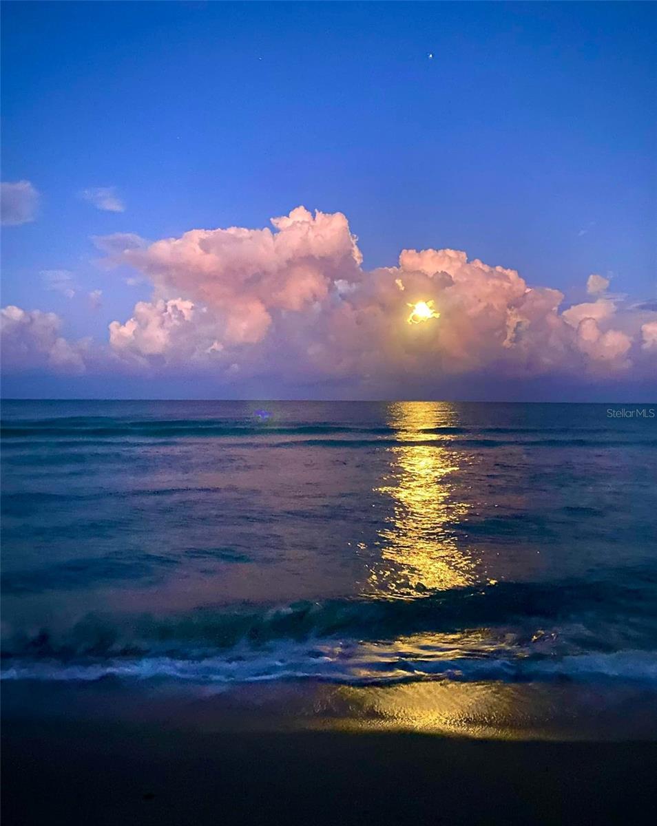 500 THE ESPLANADE N #405, VENICE, FL — photo 44