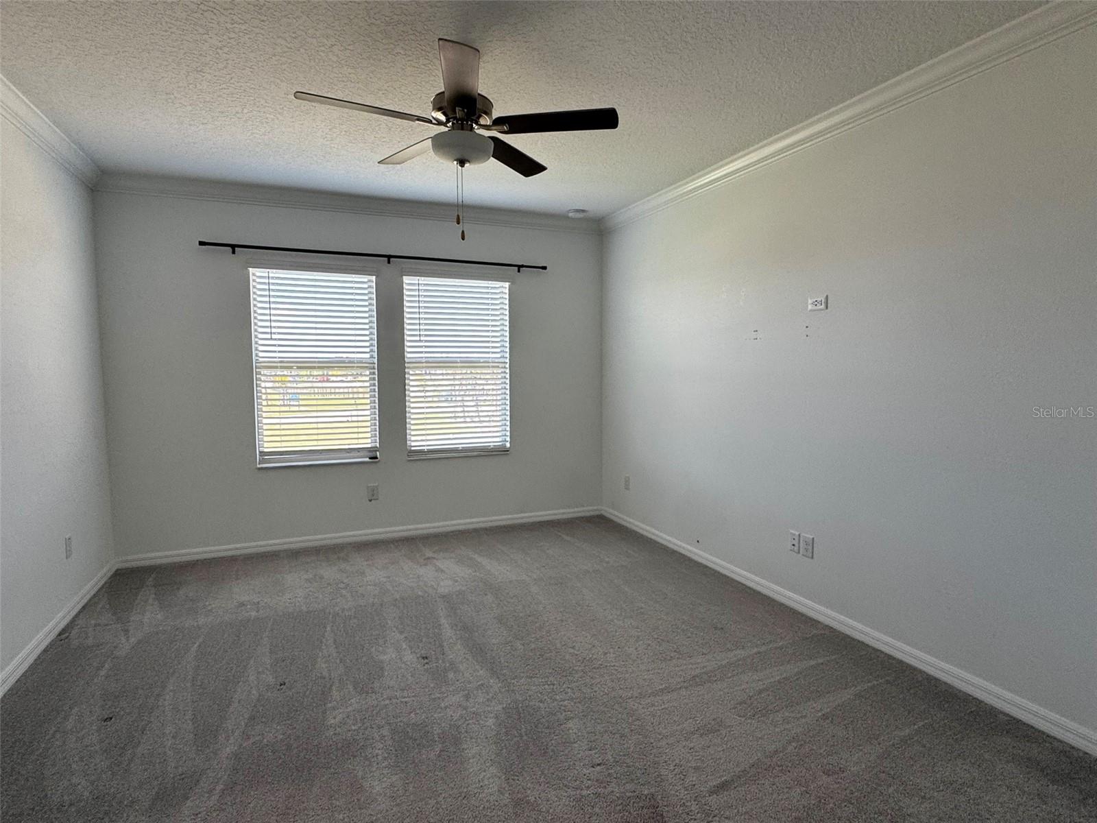 31779 BLUE PASSING LOOP, WESLEY CHAPEL, FL — photo 24