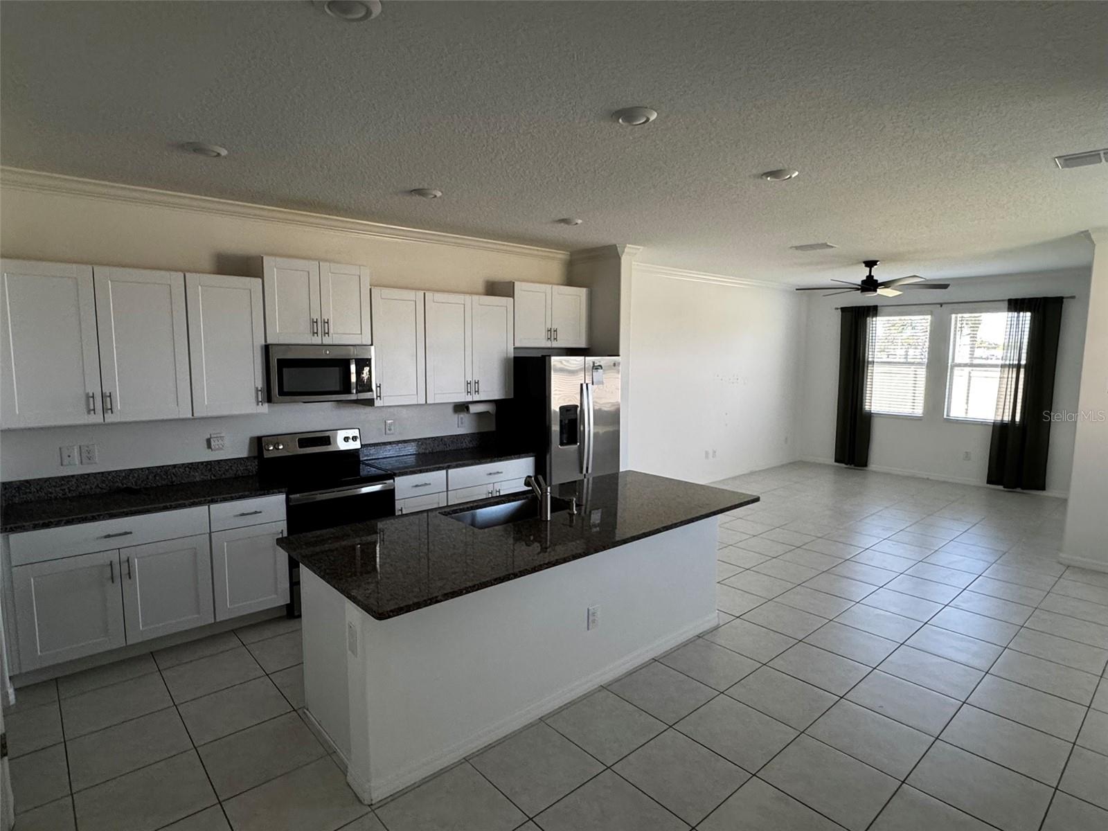 31779 BLUE PASSING LOOP, WESLEY CHAPEL, FL — photo 2