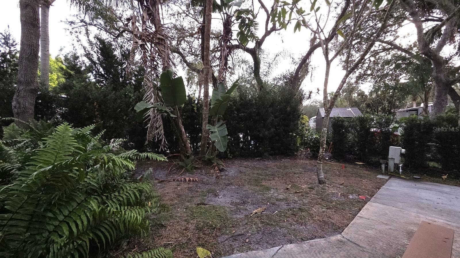 231 STALLION LN, RIVER RANCH, FL — photo 6