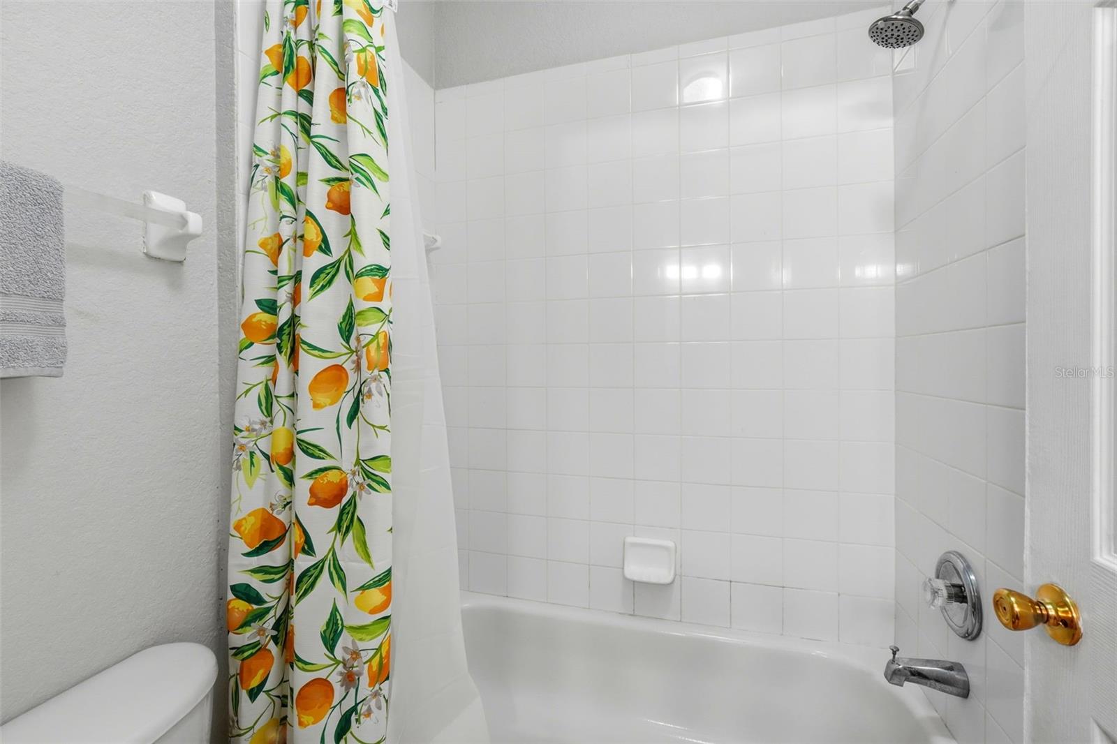 16702 CARIBBEAN BREEZE WAY, CLERMONT, FL — photo 51