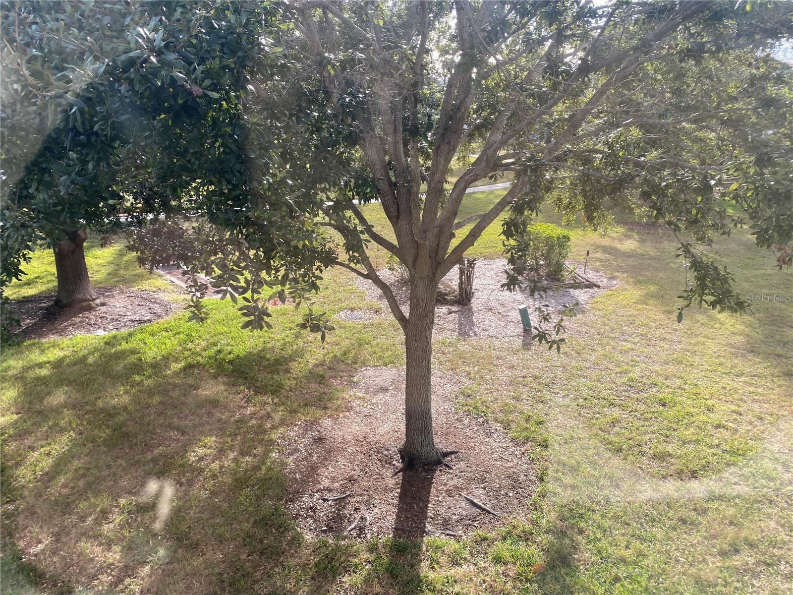 11224 82ND AVE #210, SEMINOLE, FL — photo 21