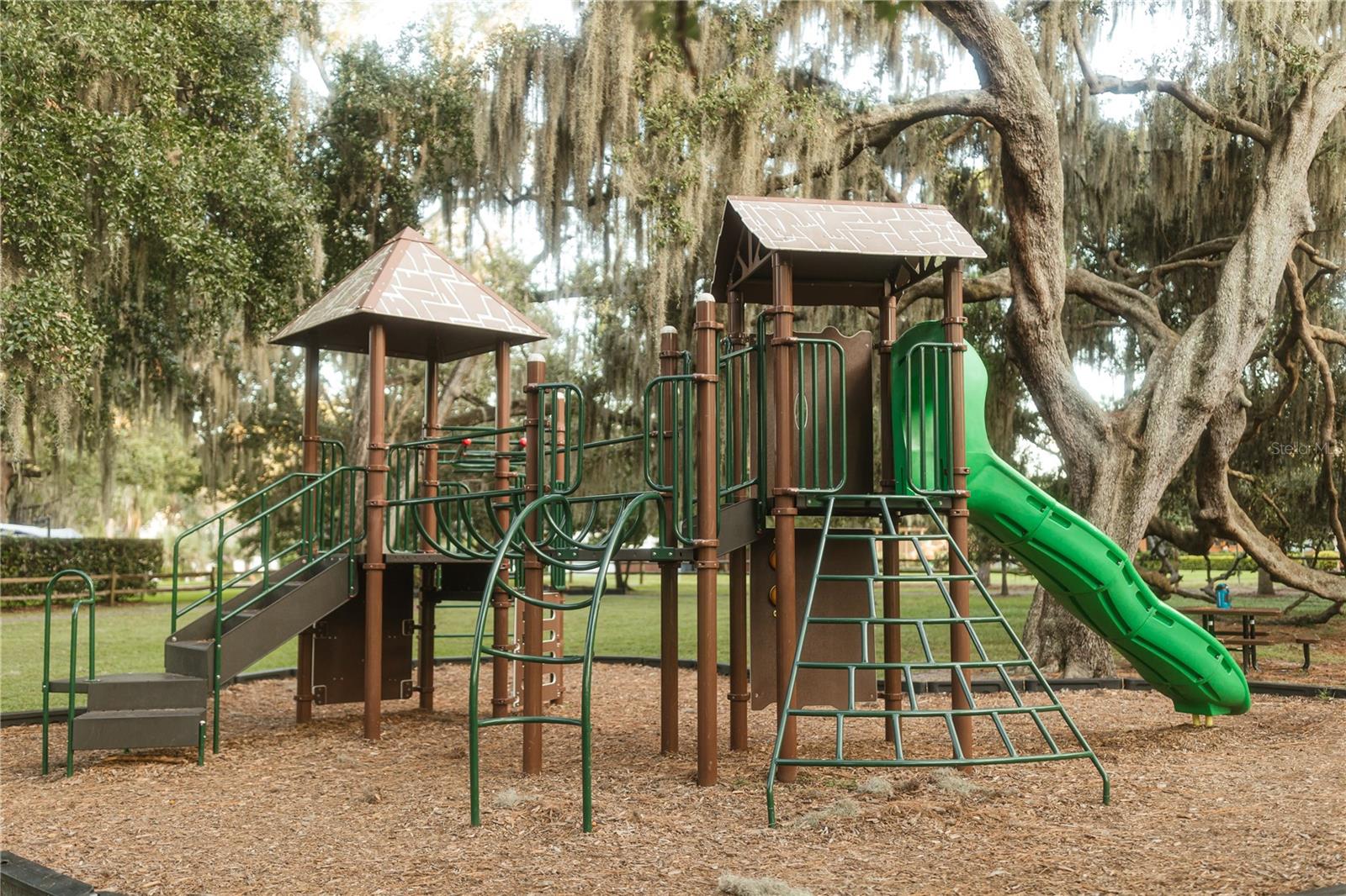 713 MAIN ST, WINDERMERE, FL — photo 59