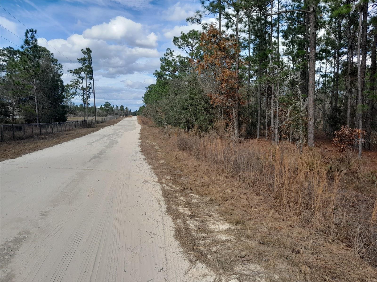 tbd NE 150TH AVE, WILLISTON, FL — photo 5