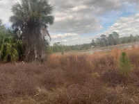 44750 MISTY ISLE DR — photo 6