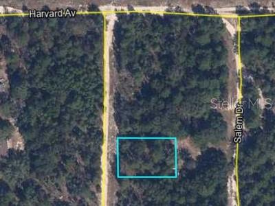 00 LEHIGH DR, KEYSTONE HEIGHTS, FL
