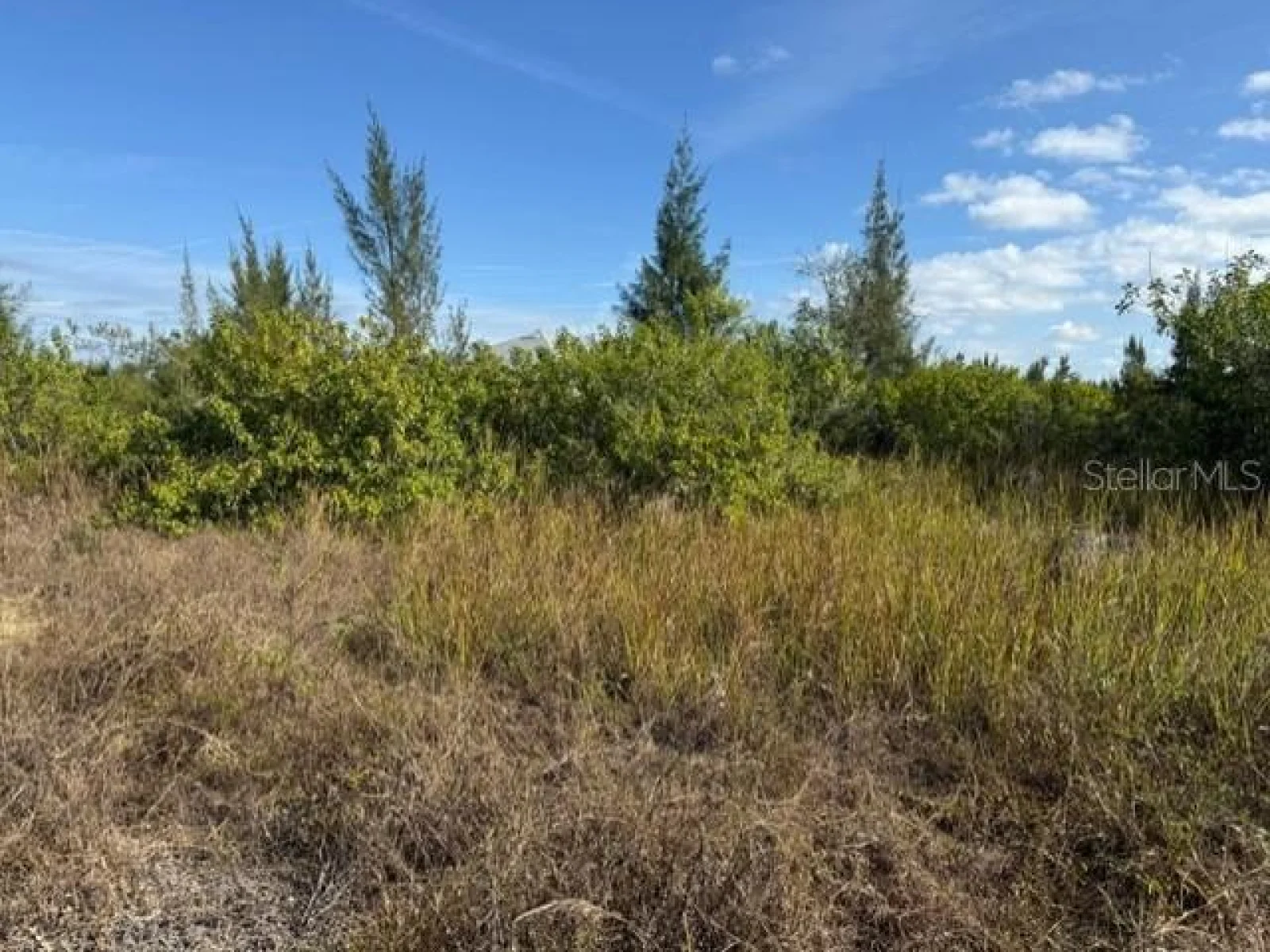 15309 TAURUS CIR, PORT CHARLOTTE, FL — photo 13