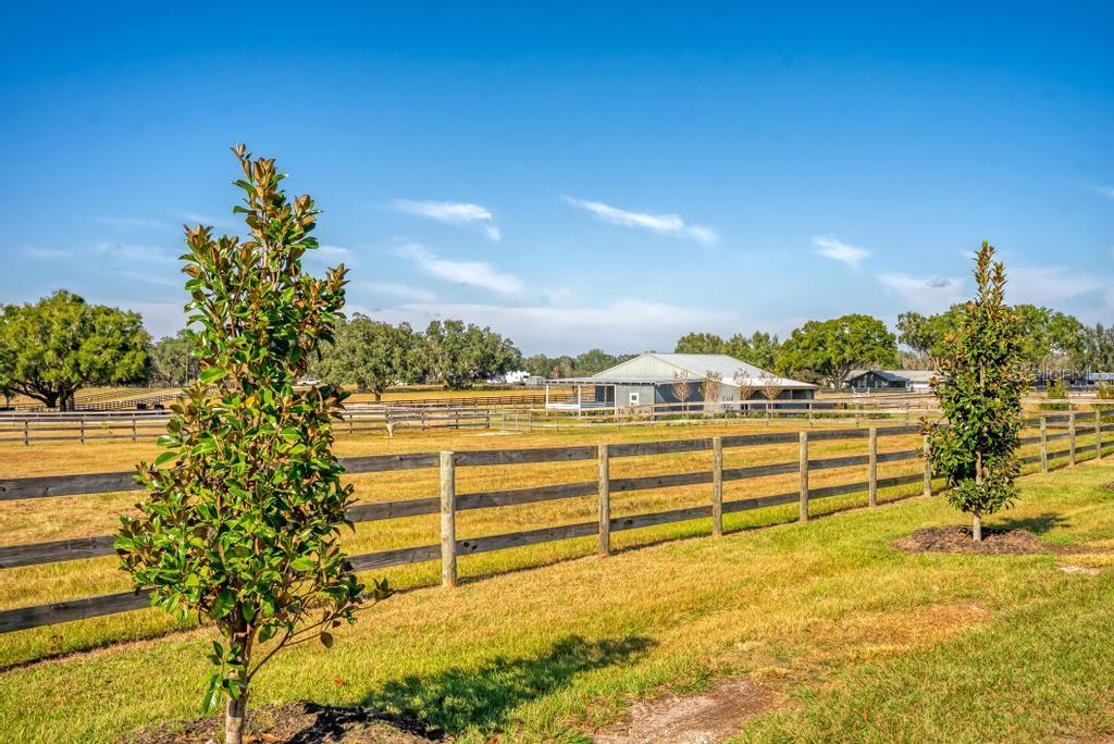 15305 NW 112TH PLACE RD, MORRISTON, FL — photo 7
