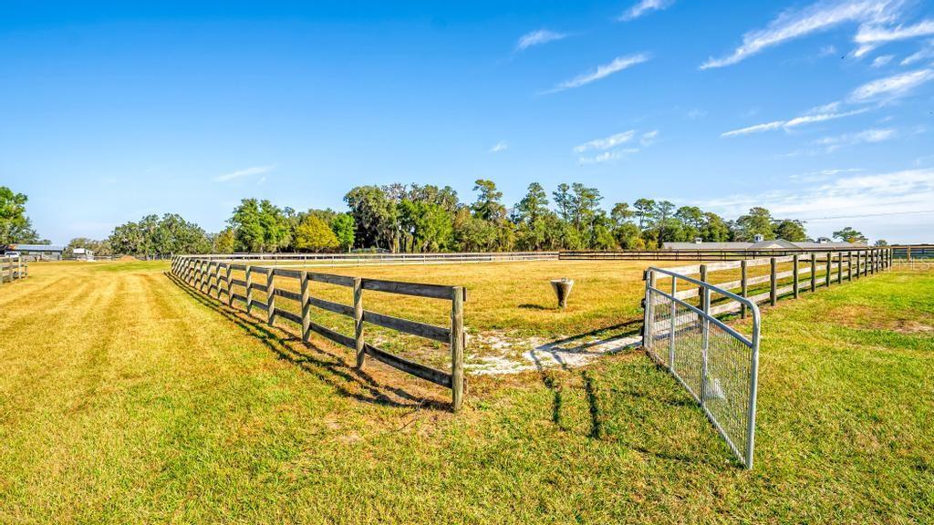15305 NW 112TH PLACE RD, MORRISTON, FL — photo 29