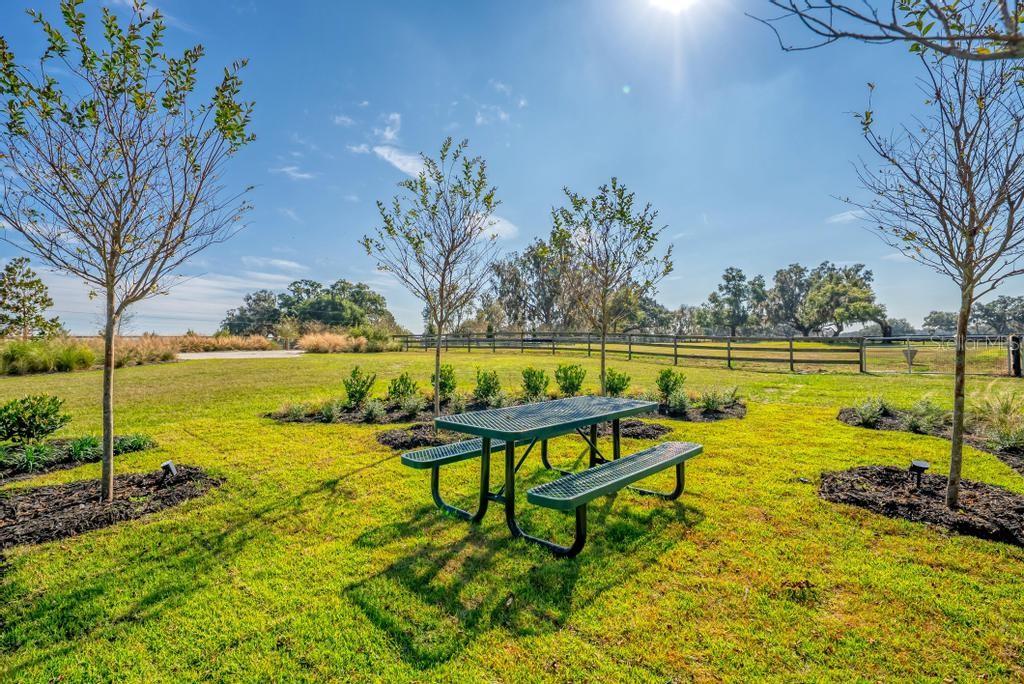 15305 NW 112TH PLACE RD, MORRISTON, FL — photo 52