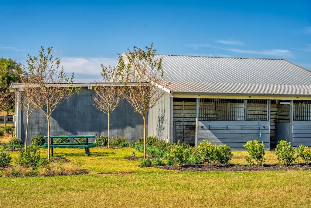 15305 NW 112TH PLACE RD, MORRISTON, FL — photo 59