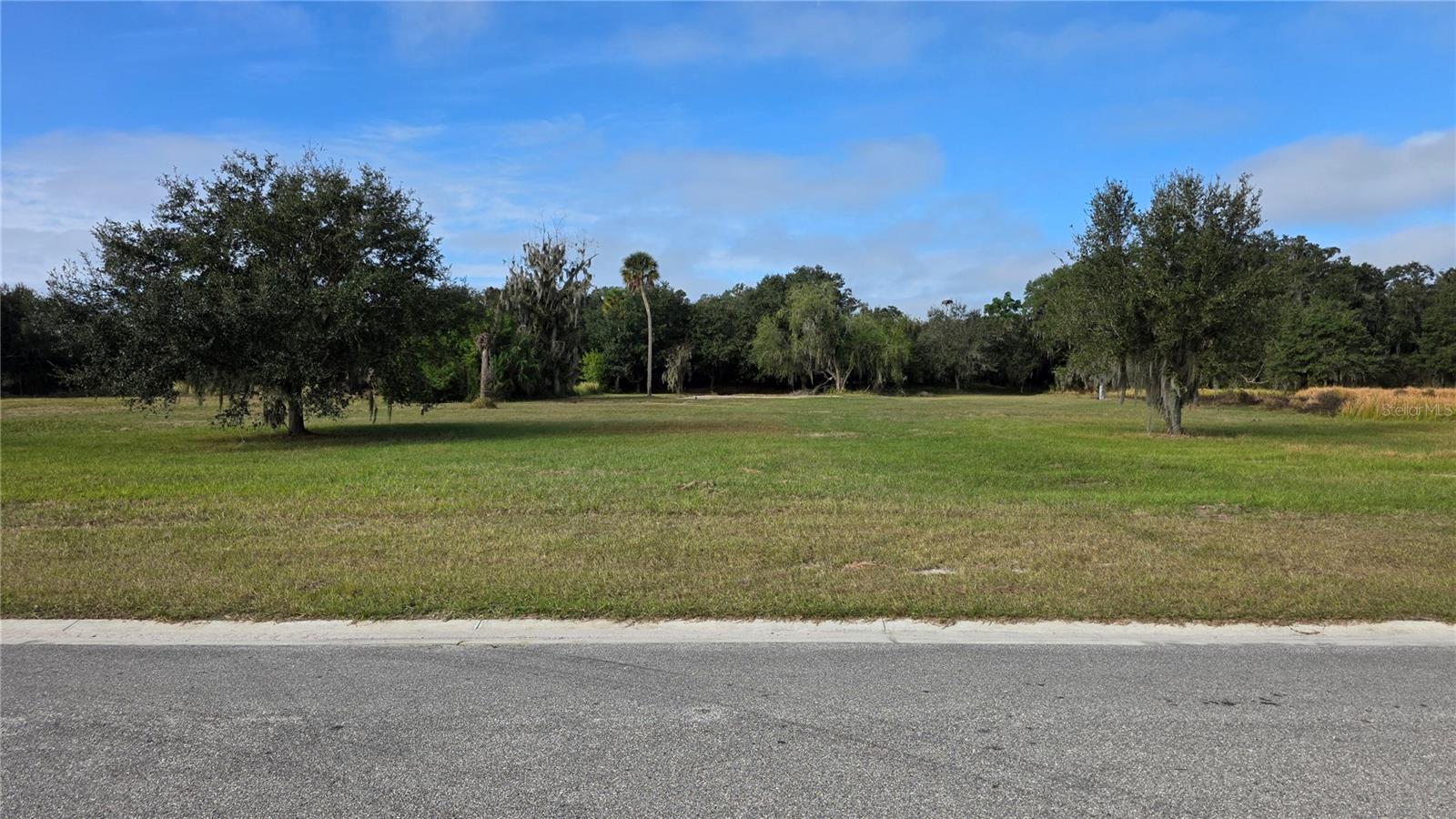 15311 FISHHAWK HEIGHTS RUN, LITHIA, FL