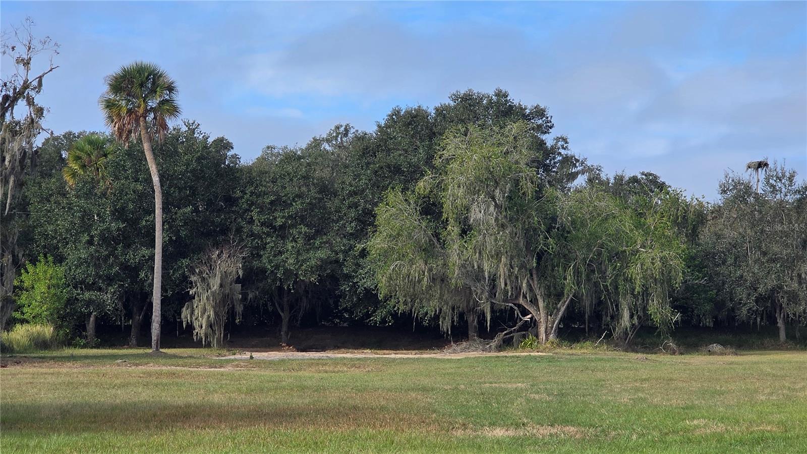 15311 FISHHAWK HEIGHTS RUN, LITHIA, FL — photo 2