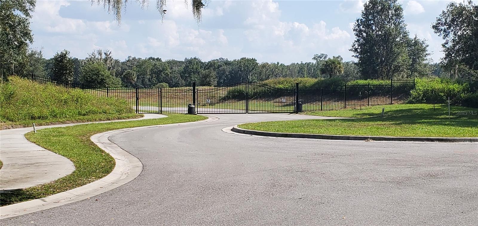 15311 FISHHAWK HEIGHTS RUN, LITHIA, FL — photo 3