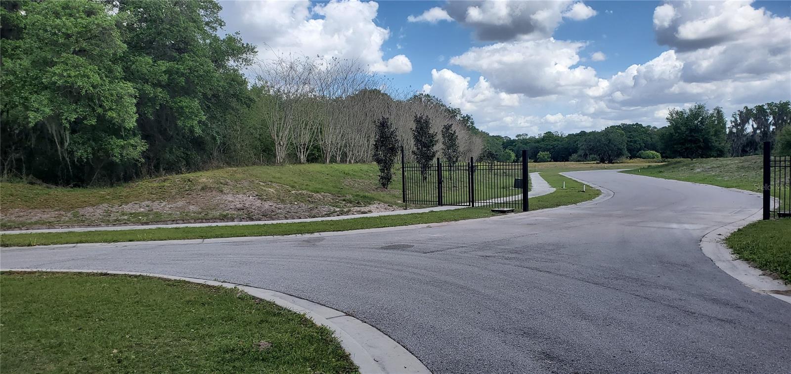 15311 FISHHAWK HEIGHTS RUN, LITHIA, FL — photo 4