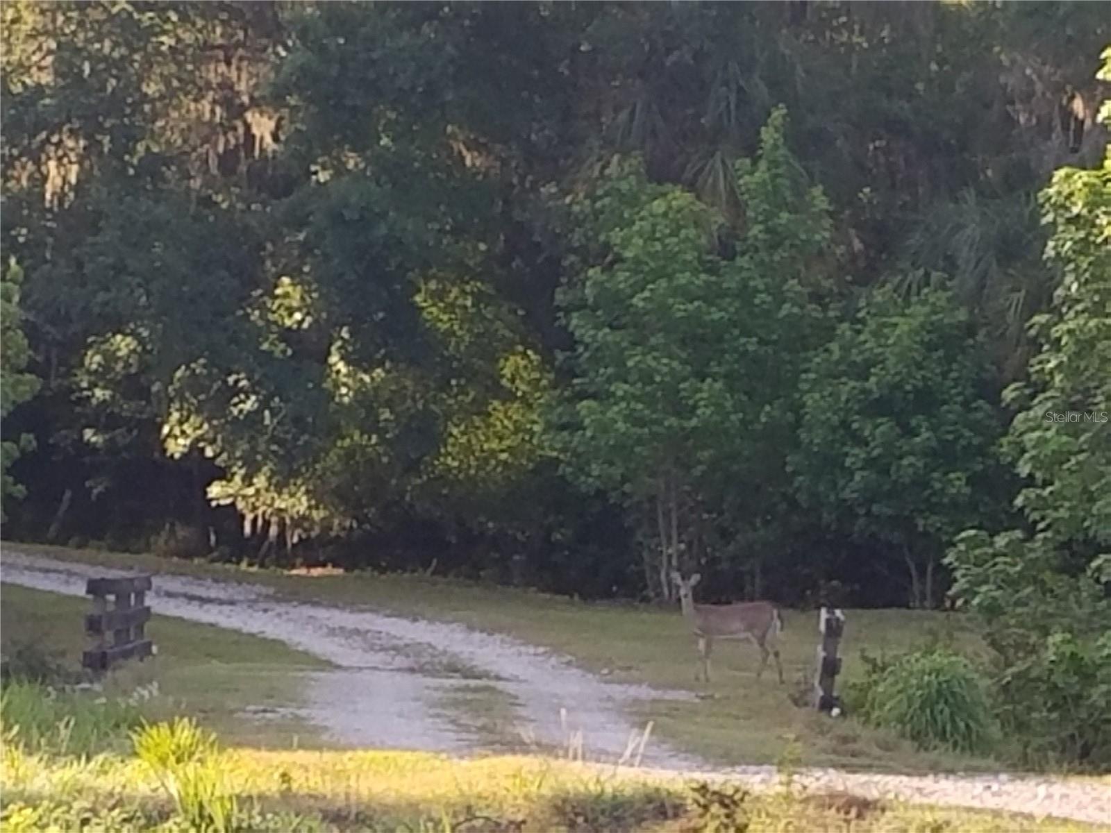 15311 FISHHAWK HEIGHTS RUN, LITHIA, FL — photo 6