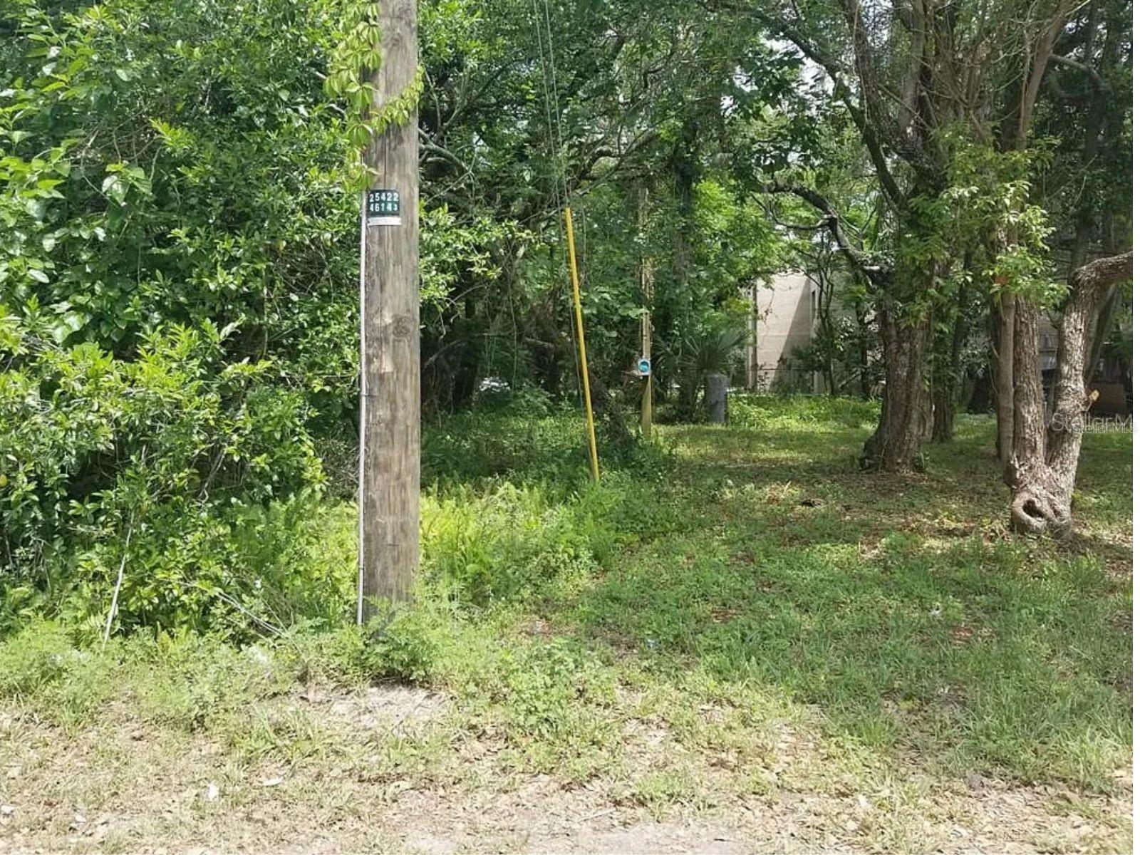 832 E 145TH AVE, TAMPA, FL — photo 3