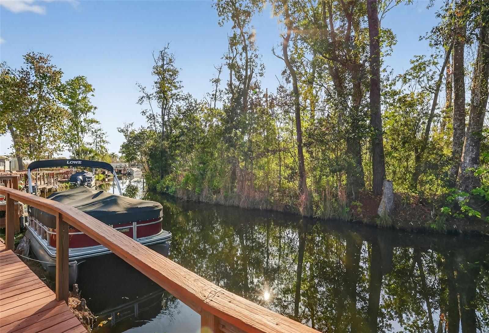 3117 MANATEE RD, TAVARES, FL — photo 84