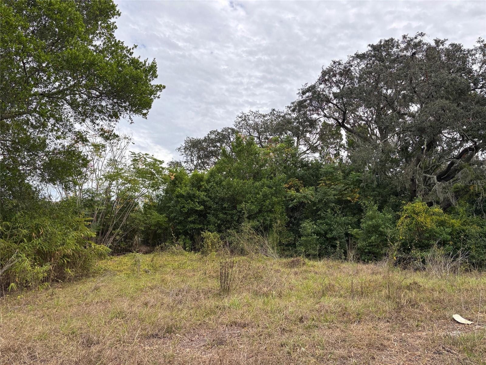 6330 KELVIN CT, SPRING HILL, FL — photo 3