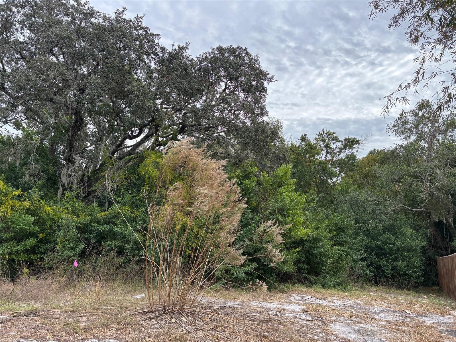 6330 KELVIN CT, SPRING HILL, FL — photo 4