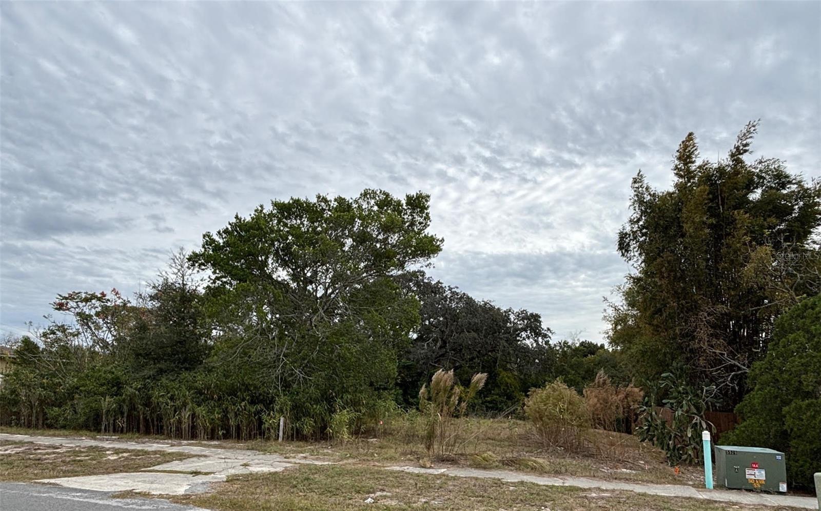 6330 KELVIN CT, SPRING HILL, FL — photo 5