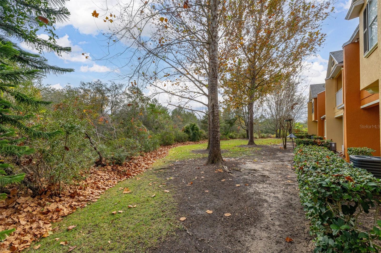 811 ASSEMBLY CT, REUNION, FL — photo 43