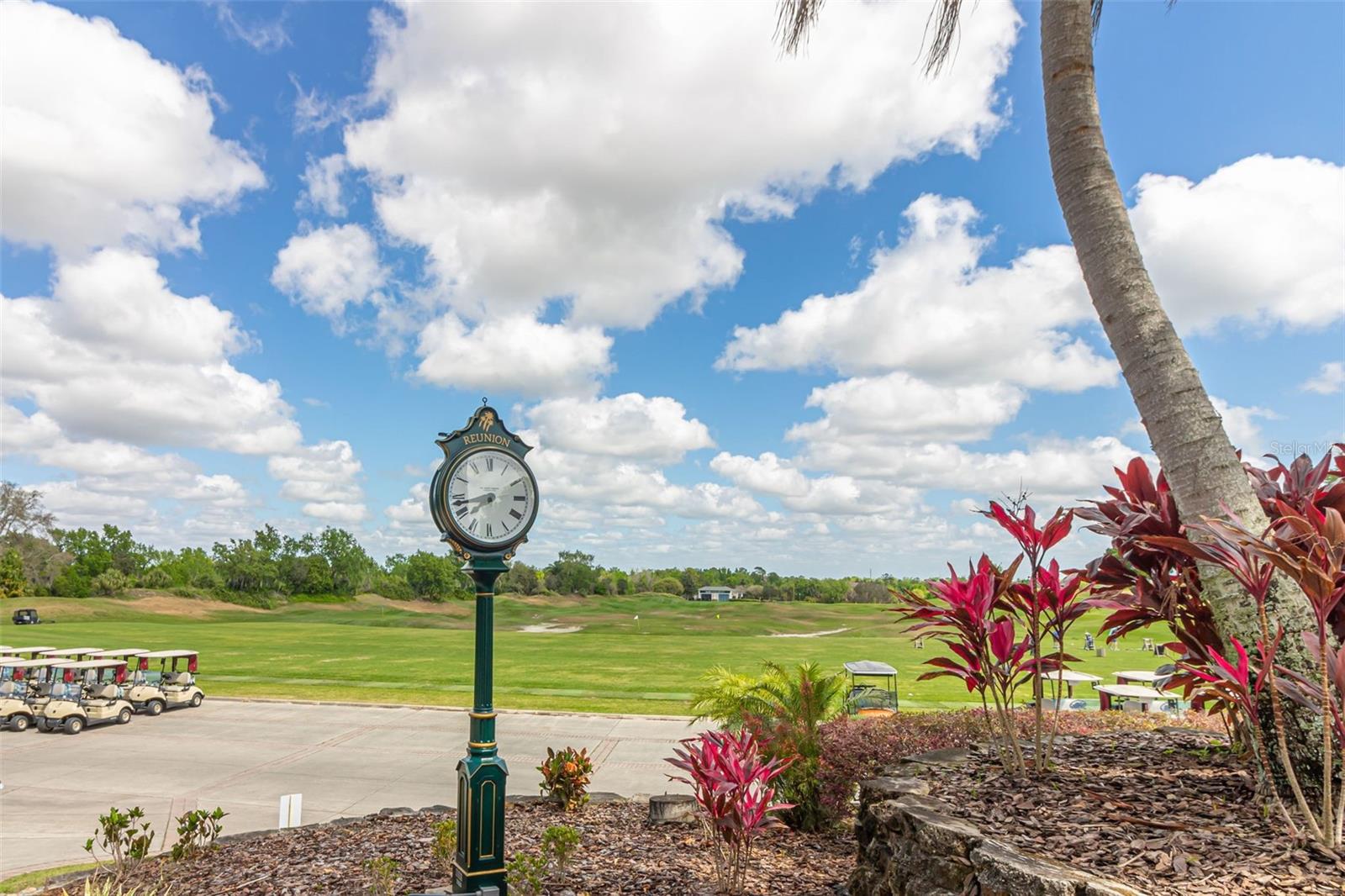811 ASSEMBLY CT, REUNION, FL — photo 59