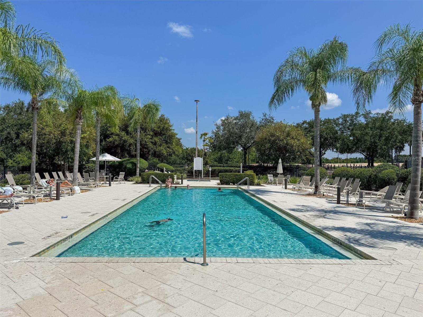 811 ASSEMBLY CT, REUNION, FL — photo 70