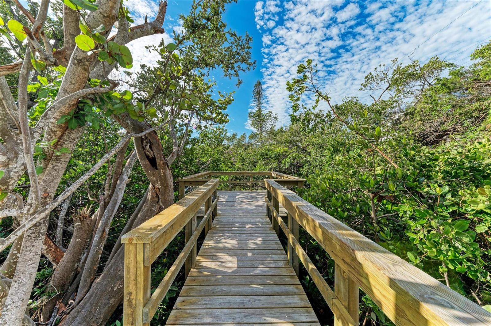 115 LOS CEDROS DR, ANNA MARIA, FL — photo 9