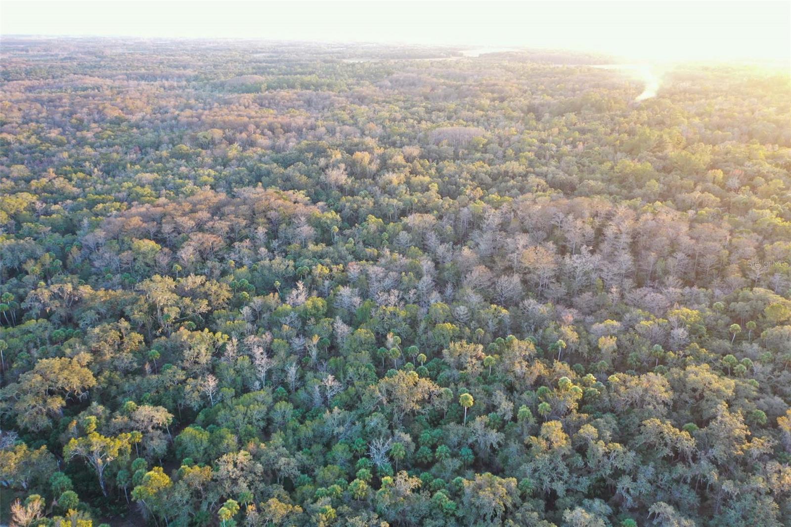 , INVERNESS, FL — photo 13