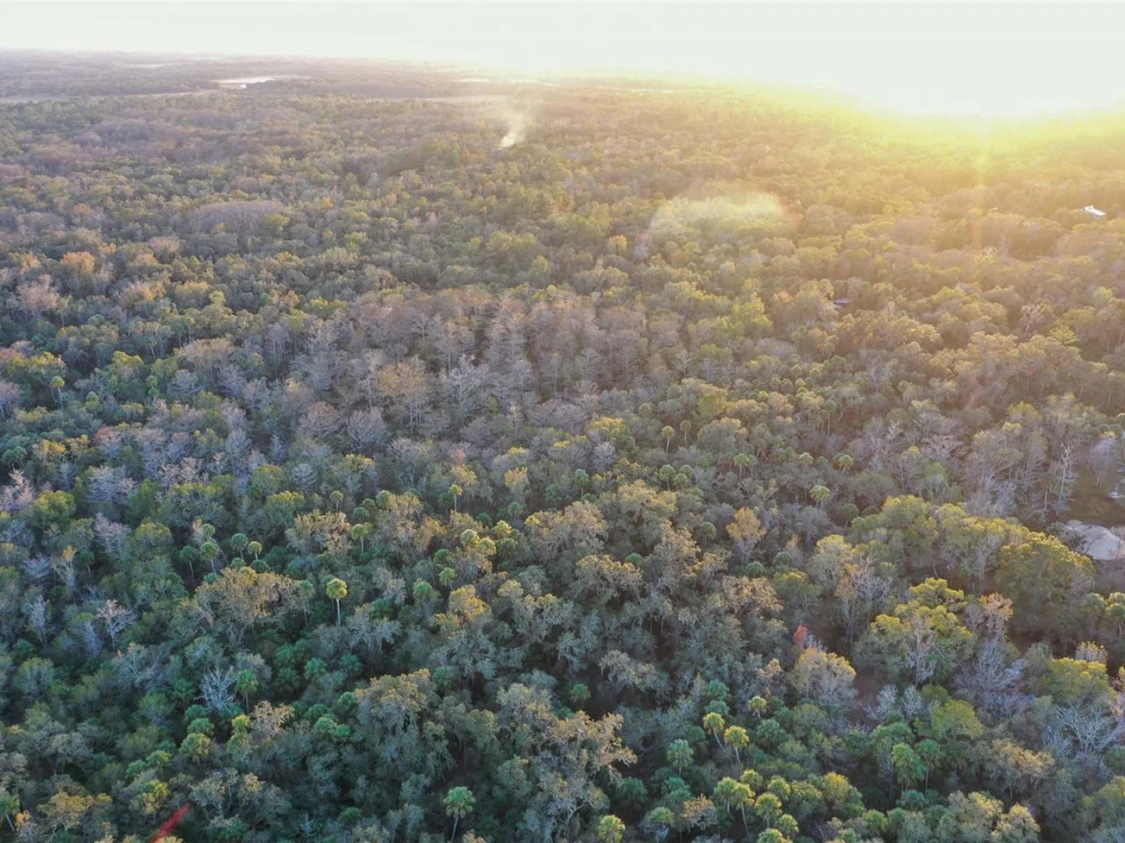 , INVERNESS, FL — photo 15