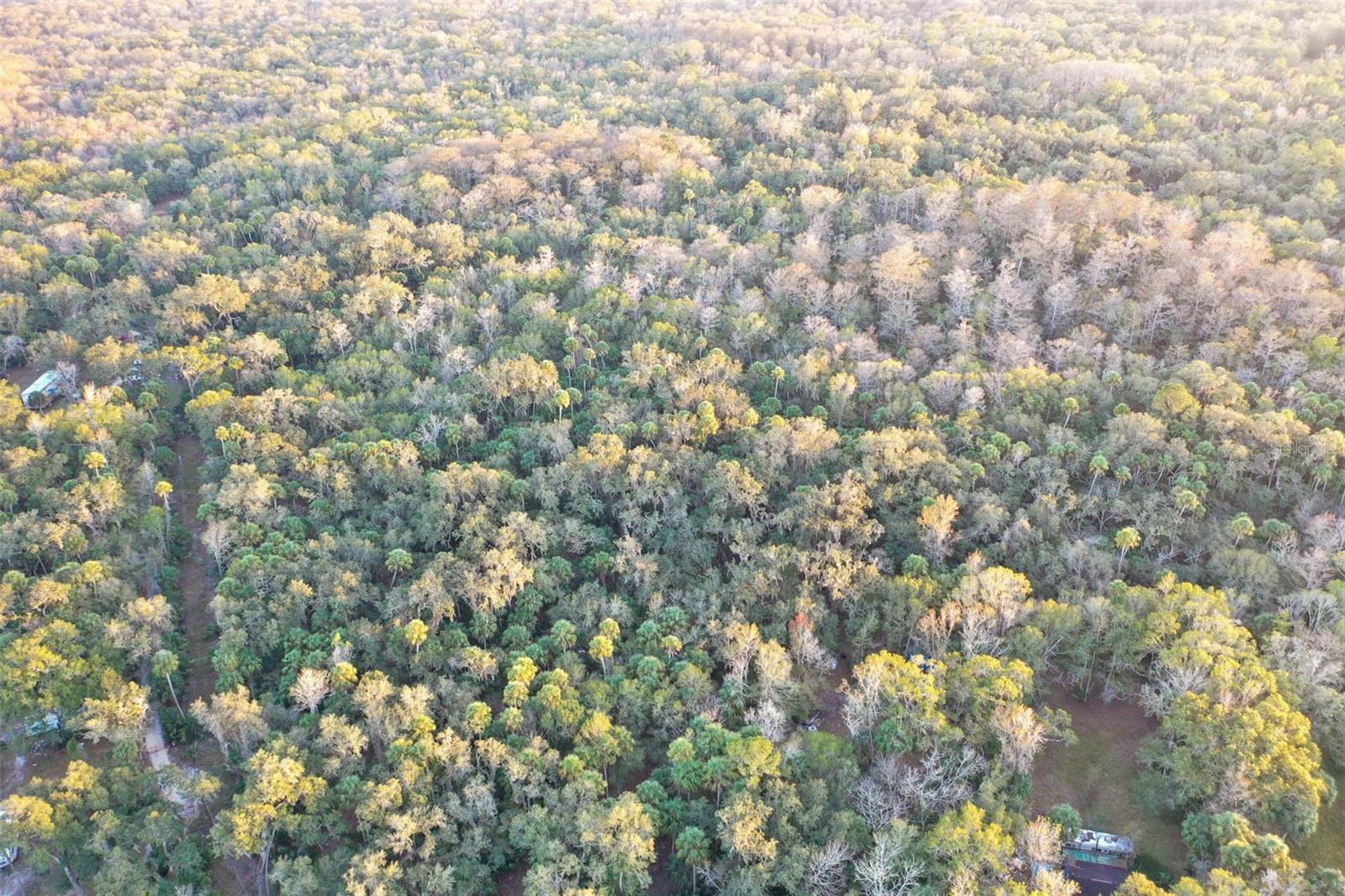 , INVERNESS, FL — photo 19
