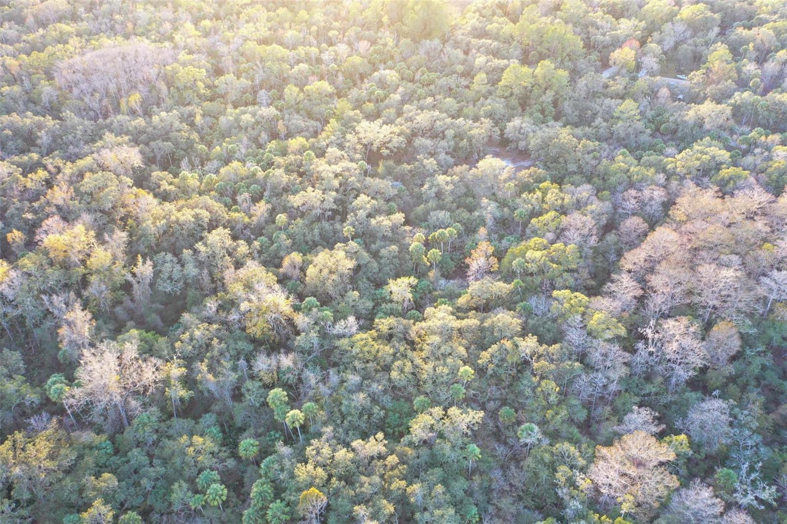 , INVERNESS, FL — photo 35