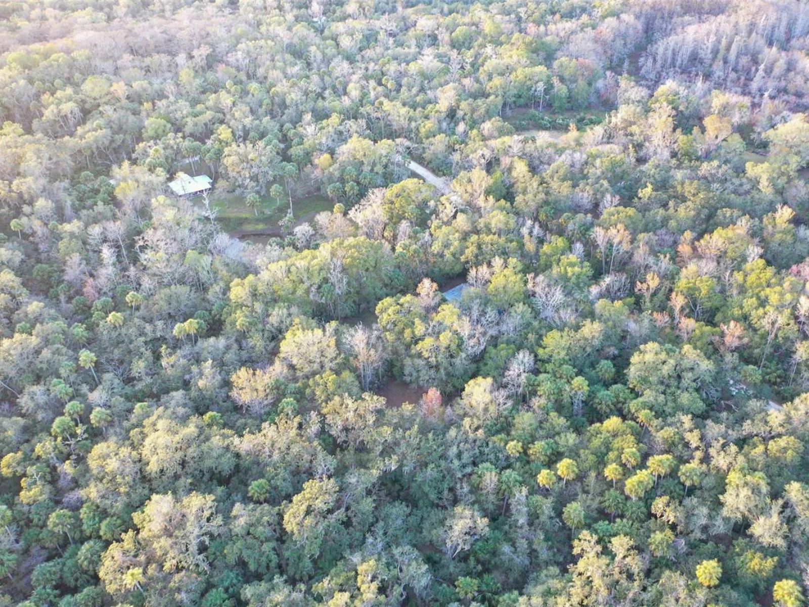 , INVERNESS, FL — photo 39