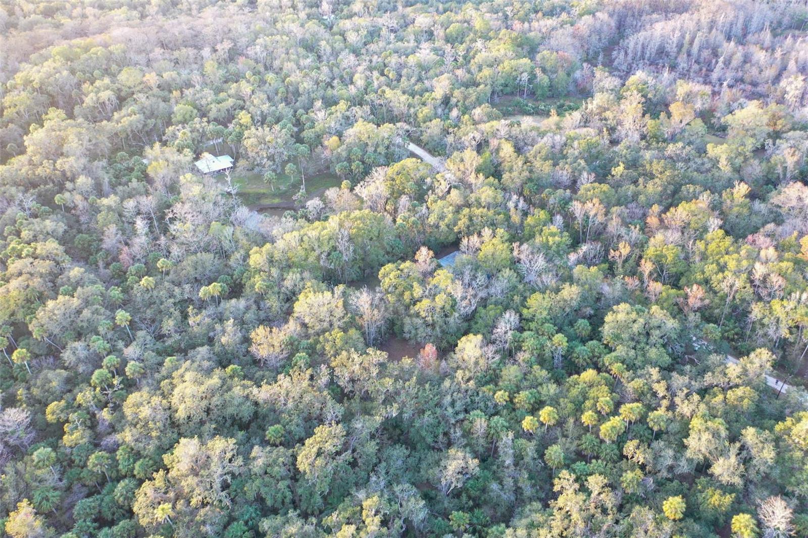 , INVERNESS, FL — photo 40